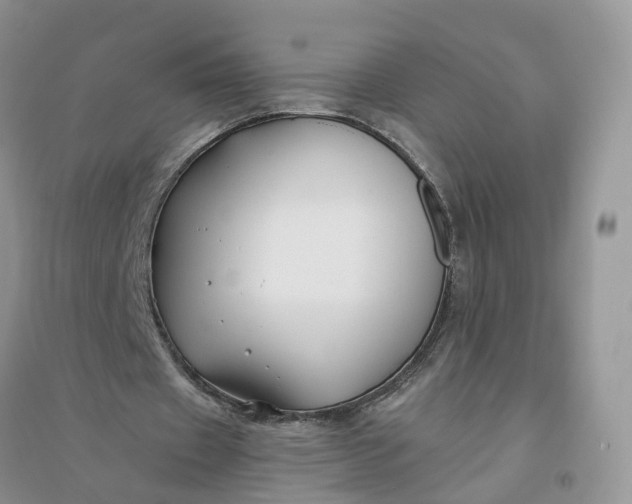 X0000096170433200802011322