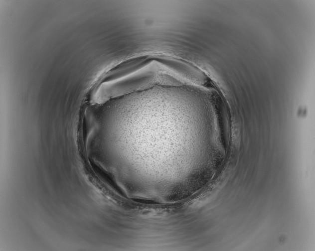 X0000096170434200802011322