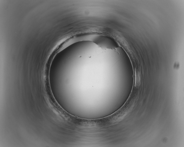 X0000096170435200802011322