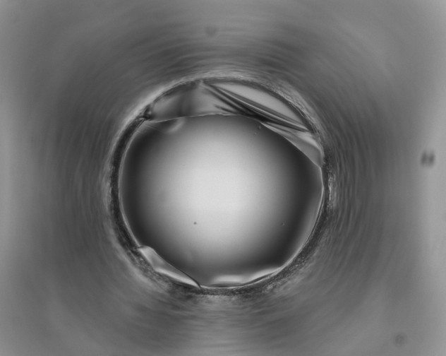 X0000096170436200802011322