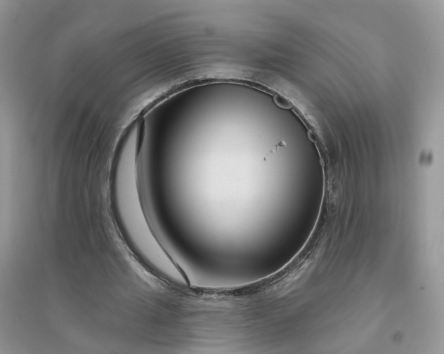 X0000096170437200802011322