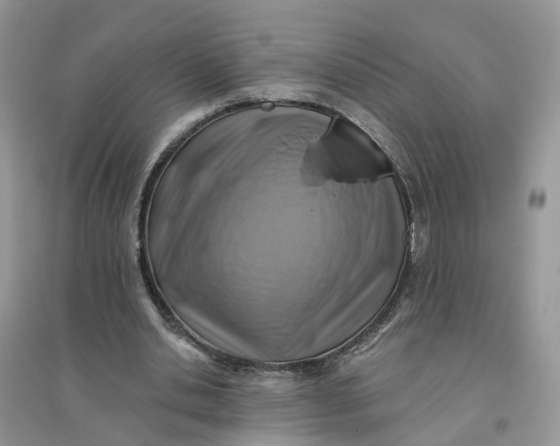 X0000096170438200802011322