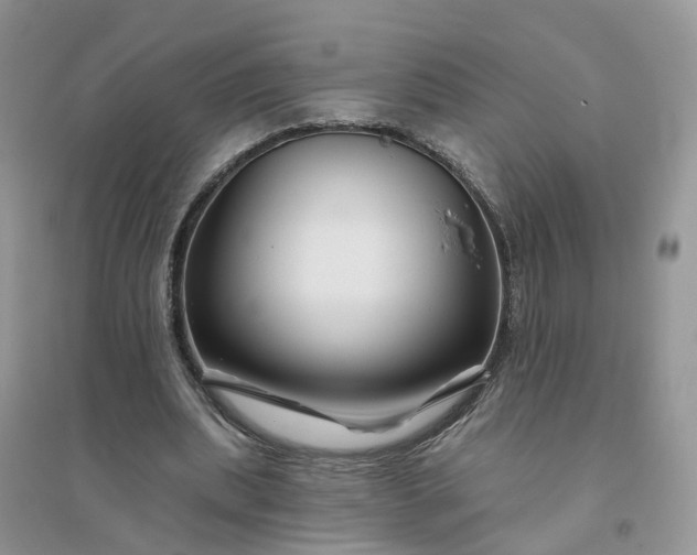 X0000096170439200802011322