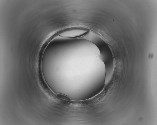 X0000096170440200802011322