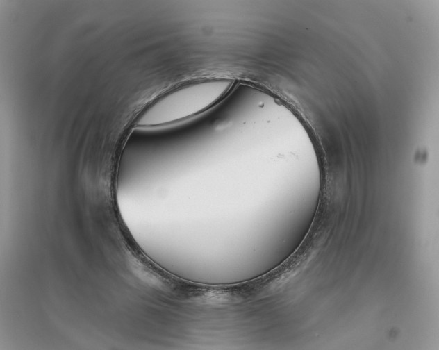 X0000096170441200802011322