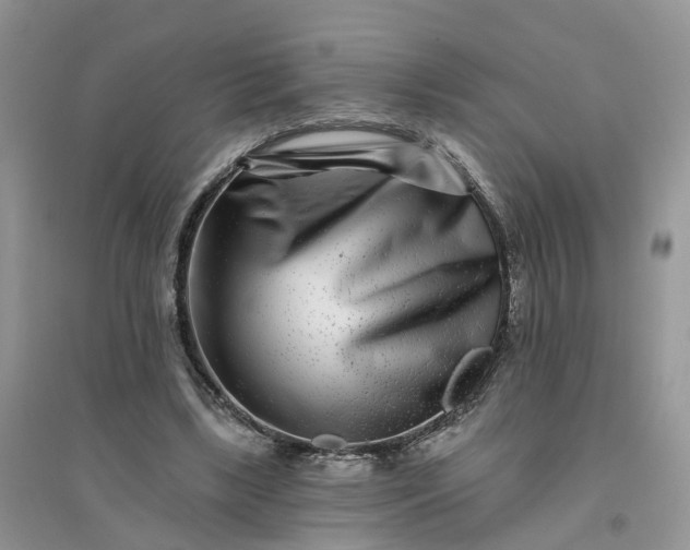 X0000096170443200802011322