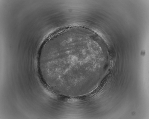 X0000096170444200802011322