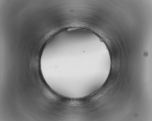 X0000096170445200802011322