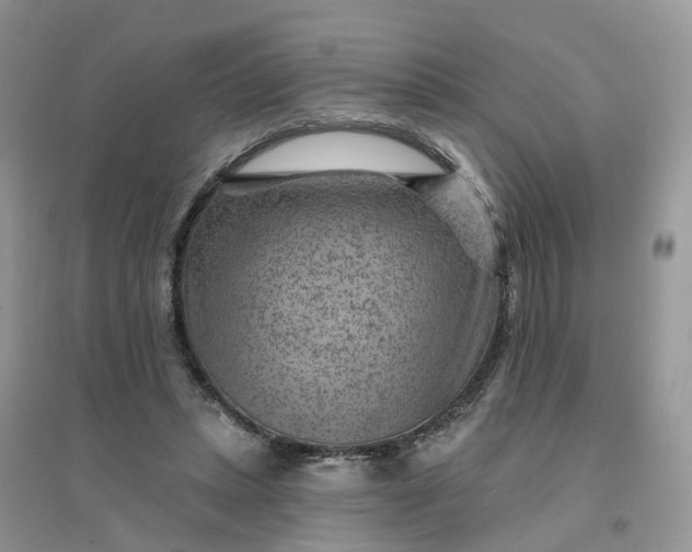 X0000096170447200802011322