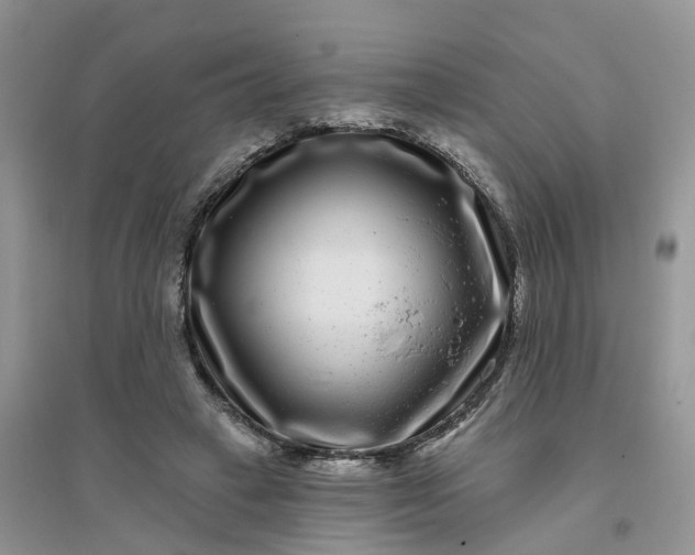 X0000096170449200802011322