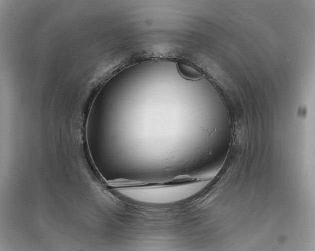 X0000096170450200802011322