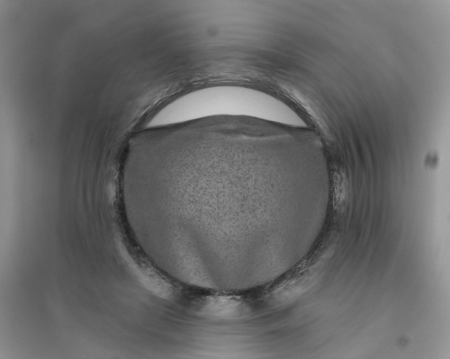 X0000096170451200802011322