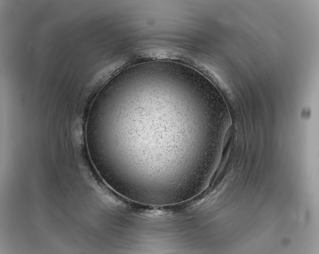 X0000096170453200802011322