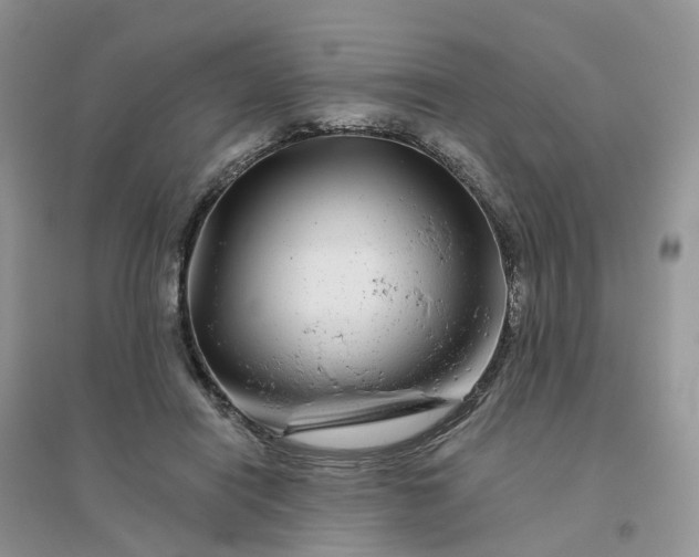 X0000096170454200802011322