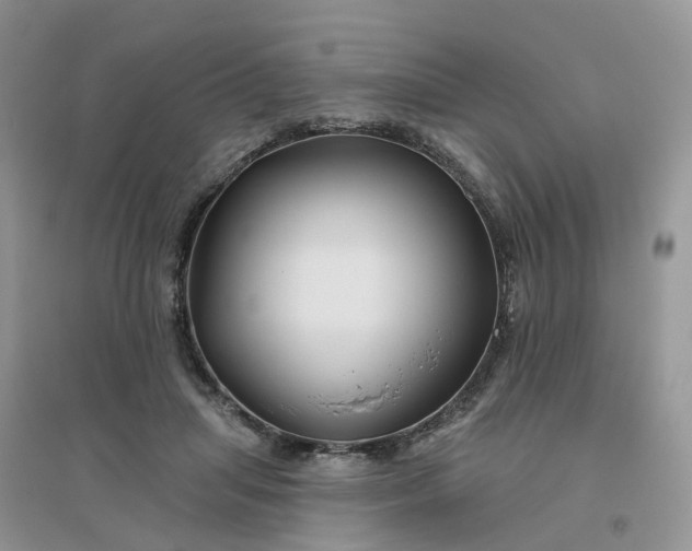 X0000096170455200802011322