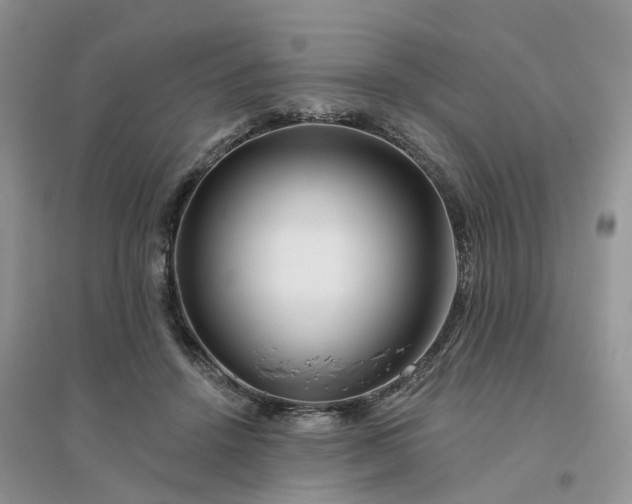 X0000096170456200802011322