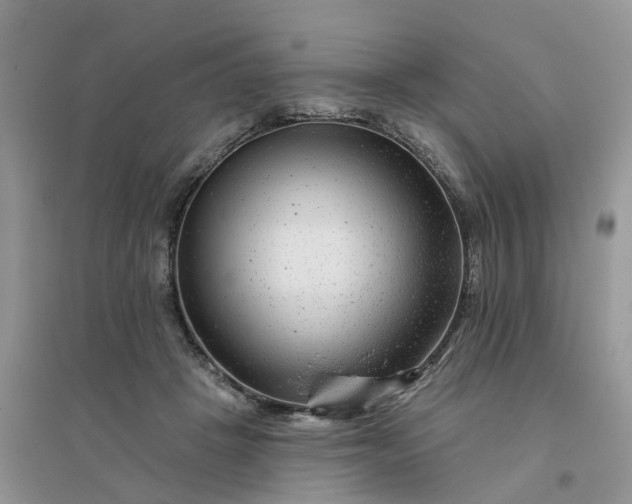 X0000096170457200802011322