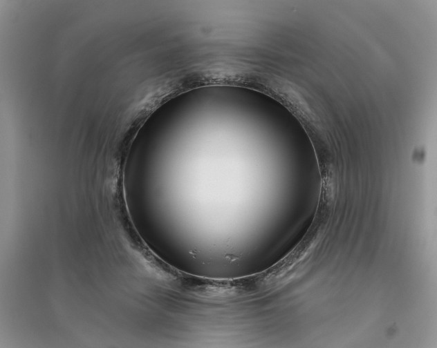 X0000096170458200802011322