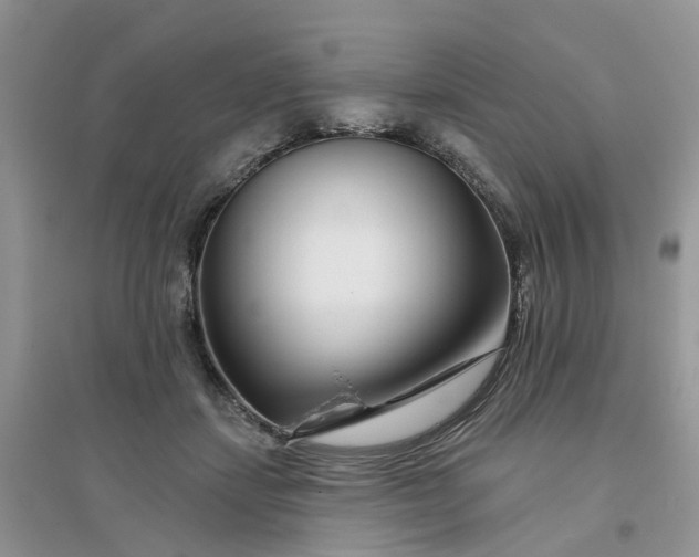 X0000096170459200802011322