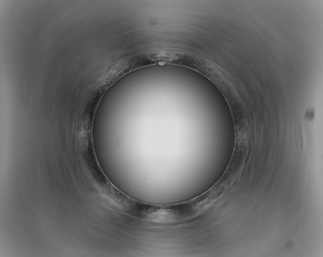 X0000096170460200802011322