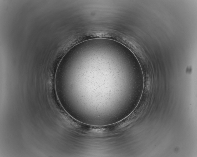 X0000096170461200802011322