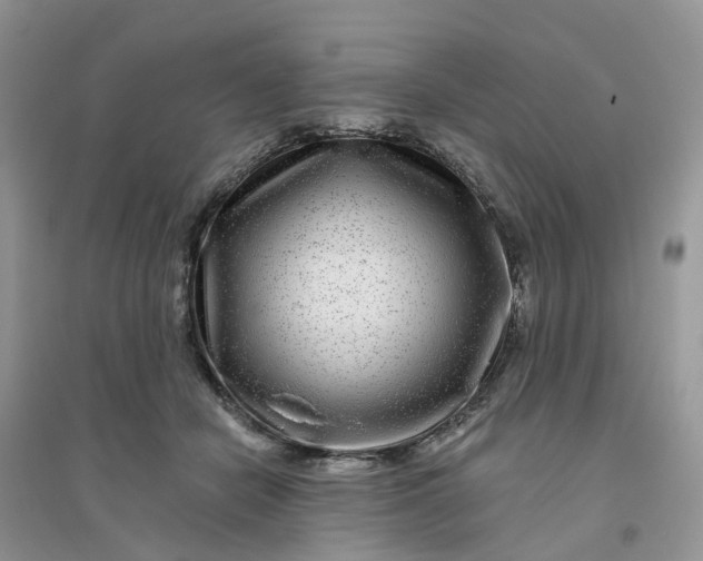 X0000096170462200802011322