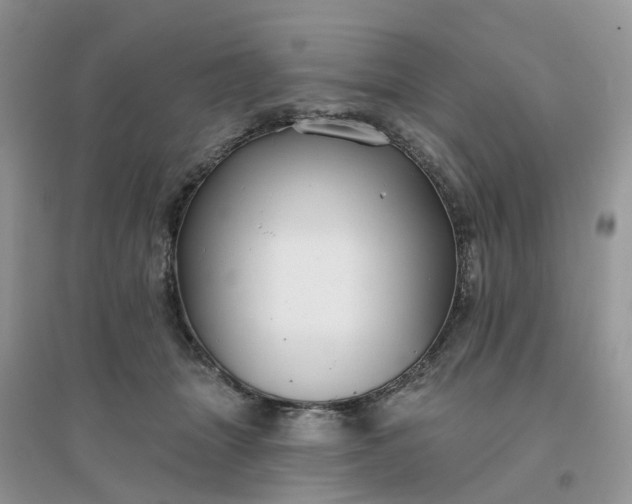 X0000096170463200802011322