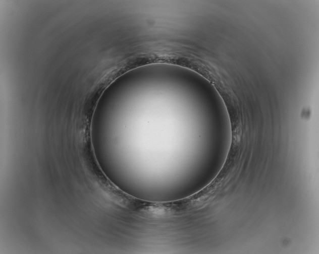 X0000096170464200802011322