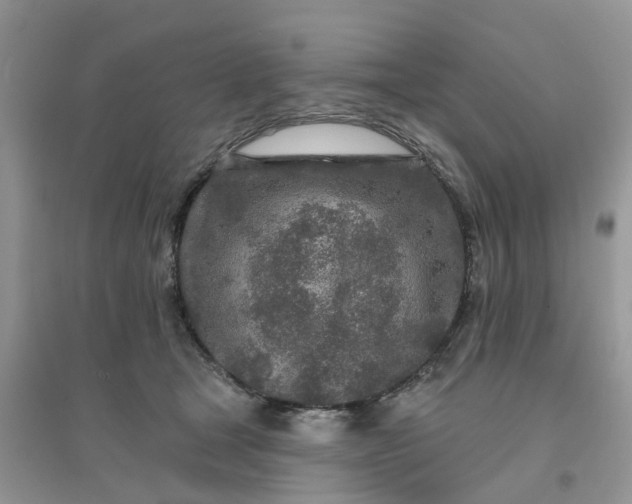 X0000096170465200802011322