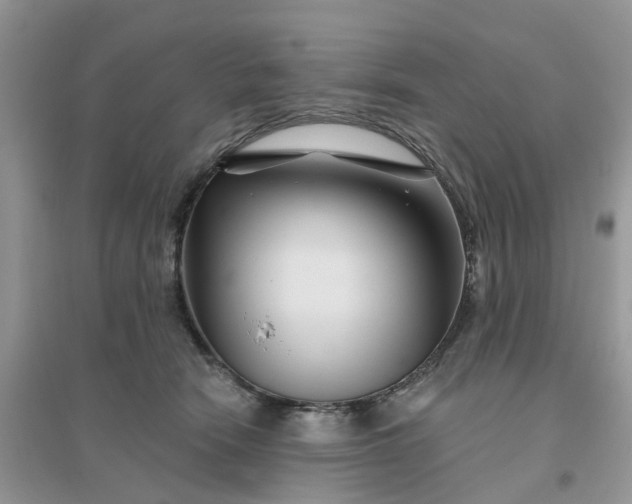 X0000096170466200802011322