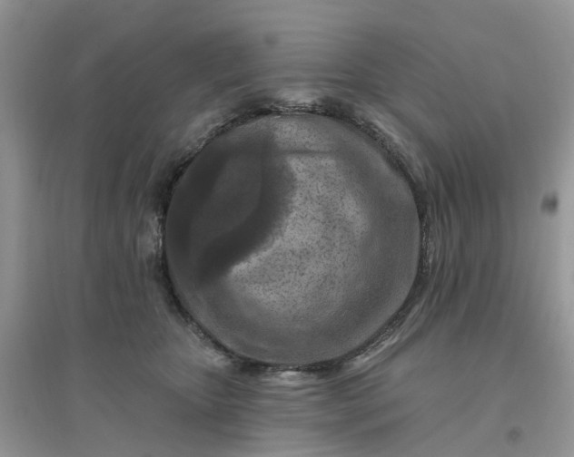 X0000096170467200802011322