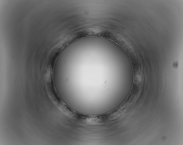 X0000096170468200802011322