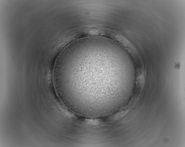 X0000096170469200802011322