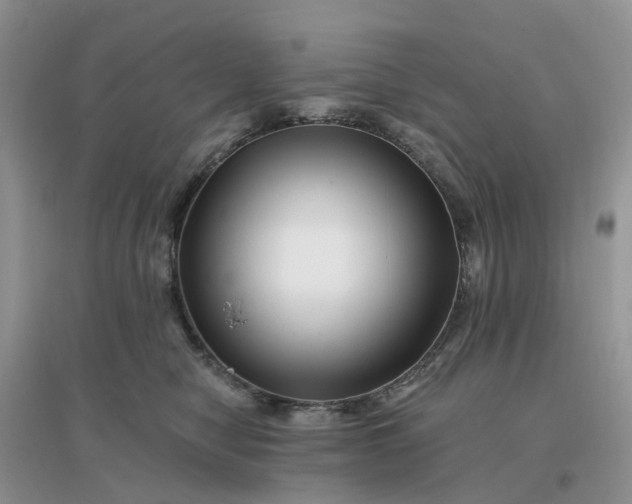 X0000096170470200802011323