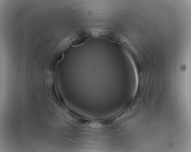 X0000096170471200802011323