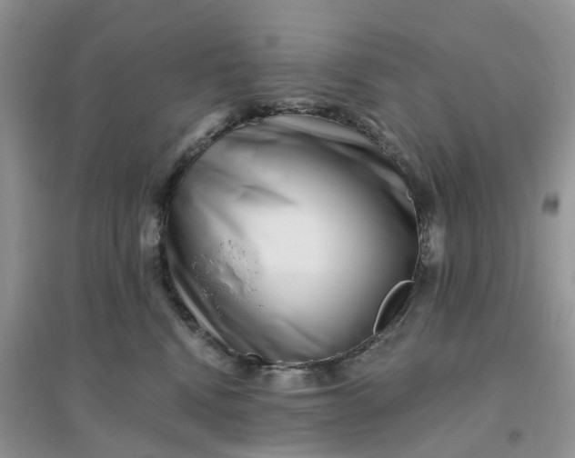 X0000096170472200802011323