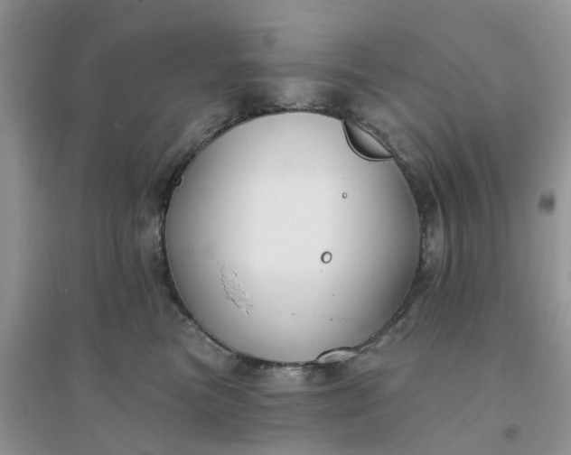 X0000096170473200802011323