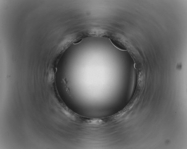 X0000096170474200802011323