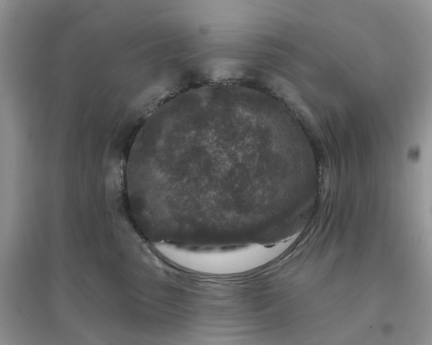 X0000096170475200802011323