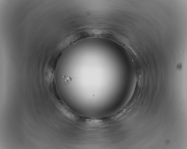 X0000096170476200802011323