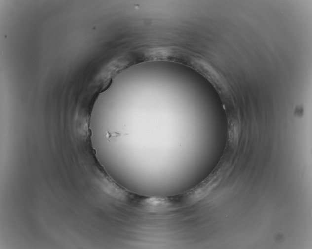 X0000096170477200802011323