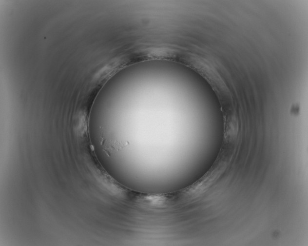 X0000096170478200802011323