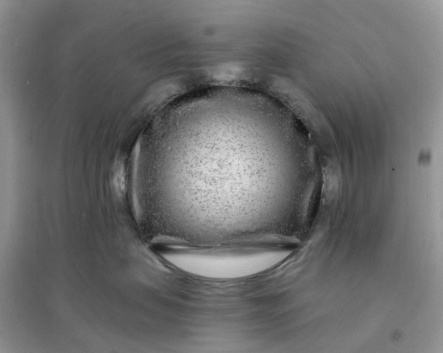 X0000096170479200802011323