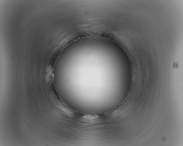 X0000096170480200802011323