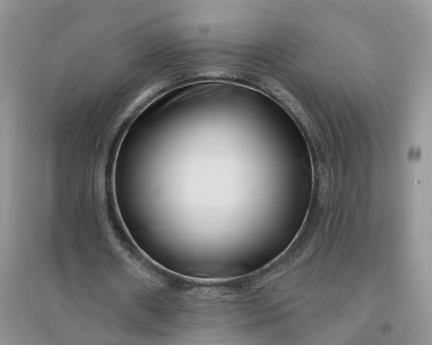 X0000096170482200802011322