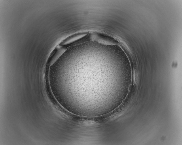 X0000096170483200802011322