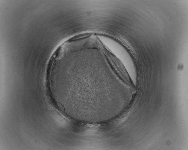 X0000096170484200802011322