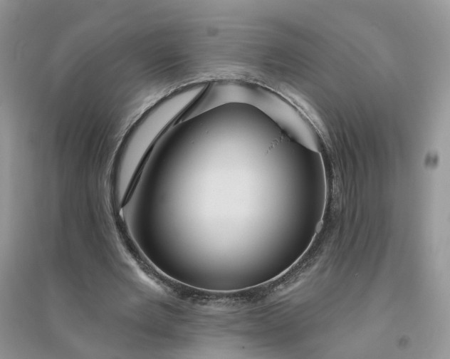 X0000096170485200802011322