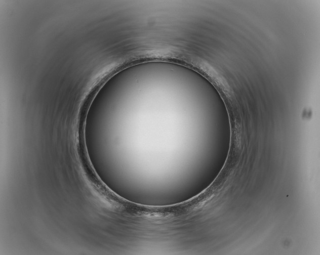 X0000096170486200802011322