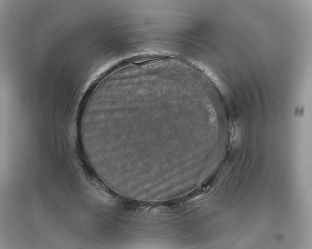 X0000096170488200802011322